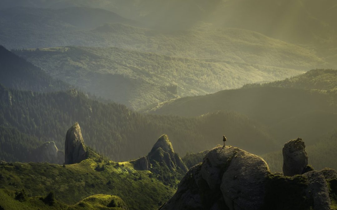 LE SILENCE DE LA NATURE