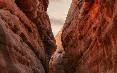 LE CHEMIN EST SI PROCHE