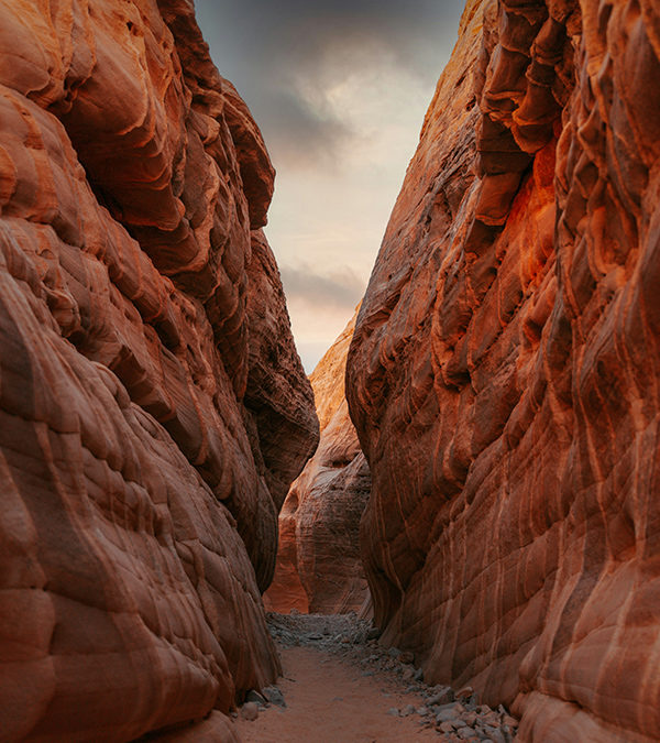 LE CHEMIN EST SI PROCHE