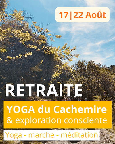 Scylia assise en sidhasana, explorant une torsion vers la gauche. Yoga du cachemire selon l'enseignement de Jean Klein et transmis par Eric Baret.