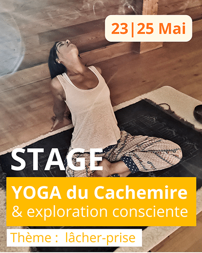 Scylia assise en sidhasana, explorant une torsion vers la gauche. Yoga du cachemire selon l'enseignement de Jean Klein et transmis par Eric Baret.
