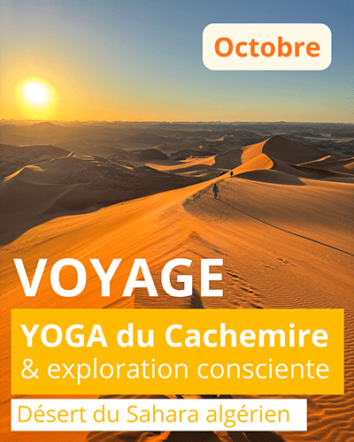 Scylia assise en sidhasana, explorant une torsion vers la gauche. Yoga du cachemire selon l'enseignement de Jean Klein et transmis par Eric Baret.